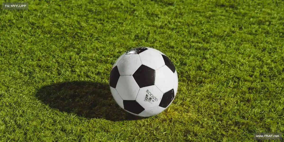 必威体育——全民体育,共赴健康新征程!🎾